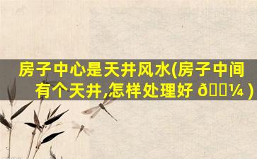 房子中心是天井风水(房子中间有个天井,怎样处理好 🐼 )